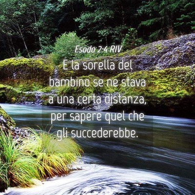 Picture 04 - Esodo 2:4 RIV - E la sorella del bambino se ne stava a una certa - Bible Verse Picture