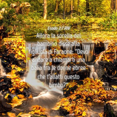 Picture 04 - Esodo 2:7 RIV - Allora la sorella del bambino disse alla - Bible Verse Picture