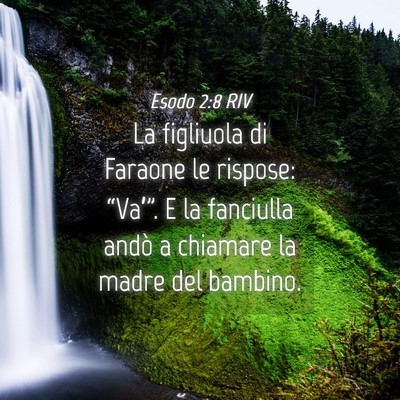 Picture 04 - Esodo 2:8 RIV - La figliuola di Faraone le rispose: “Va’”. - Bible Verse Picture