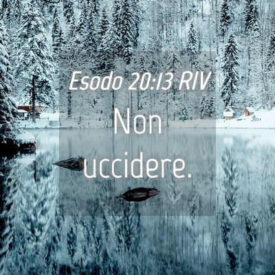 Picture 04 - Esodo 20:13 RIV - Non - Bible Verse Picture