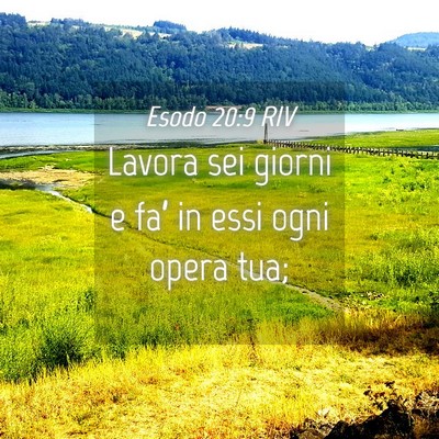 Picture 04 - Esodo 20:9 RIV - Lavora sei giorni e fa’ in essi ogni opera - Bible Verse Picture