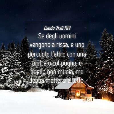 Picture 04 - Esodo 21:18 RIV - Se degli uomini vengono a rissa, e uno percuote - Bible Verse Picture