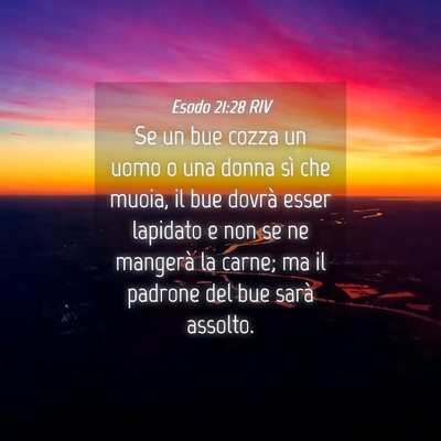 Picture 04 - Esodo 21:28 RIV - Se un bue cozza un uomo o una donna sì che - Bible Verse Picture
