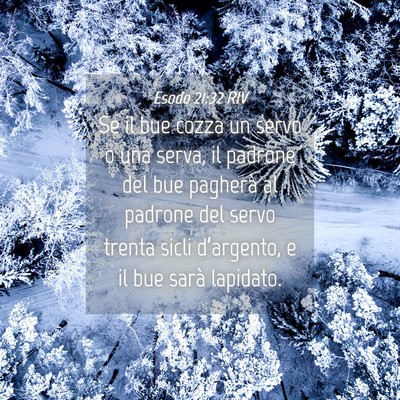 Picture 04 - Esodo 21:32 RIV - Se il bue cozza un servo o una serva, il padrone - Bible Verse Picture