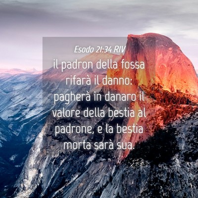 Picture 04 - Esodo 21:34 RIV - il padron della fossa rifarà il danno: pagherà - Bible Verse Picture