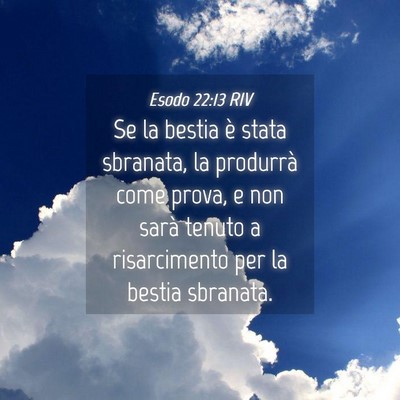 Picture 04 - Esodo 22:13 RIV - Se la bestia è stata sbranata, la produrrà come - Bible Verse Picture