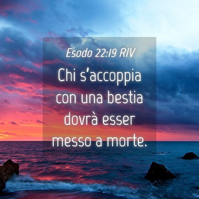 Picture 04 - Esodo 22:19 RIV - Chi s’accoppia con una bestia dovrà esser - Bible Verse Picture