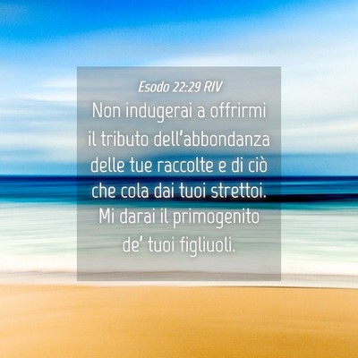 Picture 04 - Esodo 22:29 RIV - Non indugerai a offrirmi il tributo - Bible Verse Picture