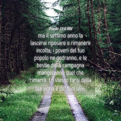 Picture 04 - Esodo 23:11 RIV - ma il settimo anno la lascerai riposare e - Bible Verse Picture