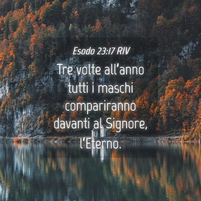 Picture 04 - Esodo 23:17 RIV - Tre volte all’anno tutti i maschi compariranno - Bible Verse Picture
