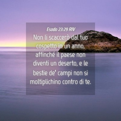 Picture 04 - Esodo 23:29 RIV - Non li scaccerò dal tuo cospetto in un anno, - Bible Verse Picture