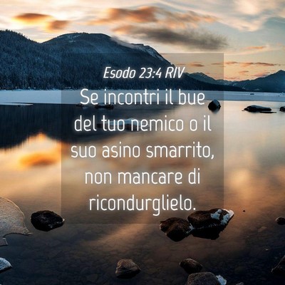 Picture 04 - Esodo 23:4 RIV - Se incontri il bue del tuo nemico o il suo asino - Bible Verse Picture