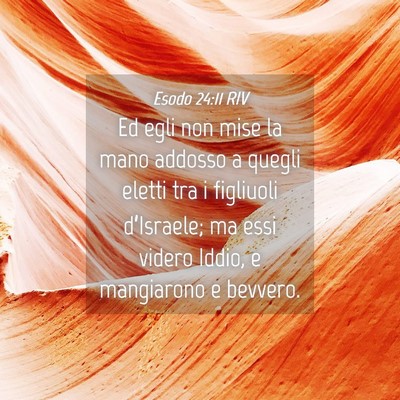 Picture 04 - Esodo 24:11 RIV - Ed egli non mise la mano addosso a quegli eletti - Bible Verse Picture