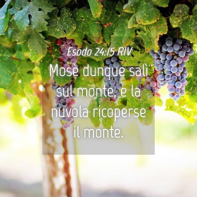 Picture 04 - Esodo 24:15 RIV - Mosè dunque salì sul monte, e la nuvola - Bible Verse Picture