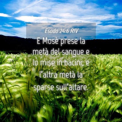 Picture 04 - Esodo 24:6 RIV - E Mosè prese la metà del sangue e lo mise in - Bible Verse Picture