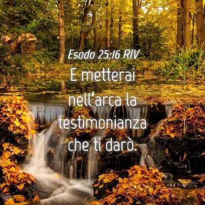 Picture 04 - Esodo 25:16 RIV - E metterai nell’arca la testimonianza che ti - Bible Verse Picture