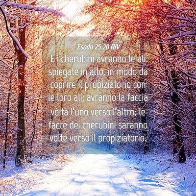 Picture 04 - Esodo 25:20 RIV - E i cherubini avranno le ali spiegate in alto, in - Bible Verse Picture