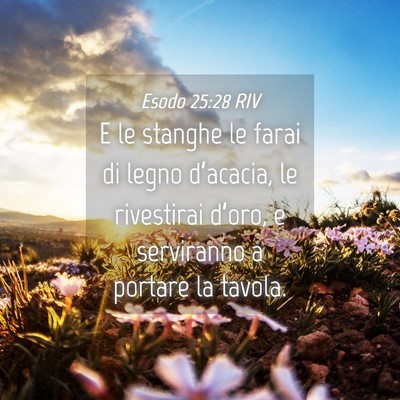 Picture 04 - Esodo 25:28 RIV - E le stanghe le farai di legno d’acacia, le - Bible Verse Picture