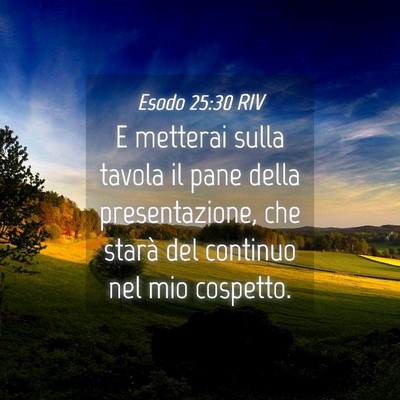 Picture 04 - Esodo 25:30 RIV - E metterai sulla tavola il pane della - Bible Verse Picture