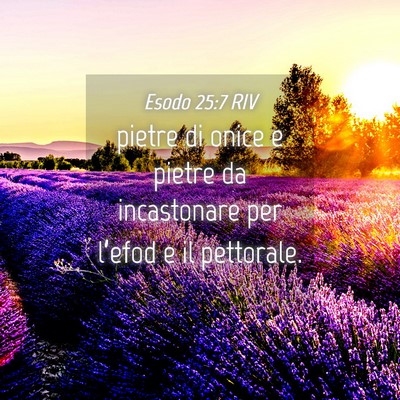 Picture 04 - Esodo 25:7 RIV - pietre di onice e pietre da incastonare per - Bible Verse Picture