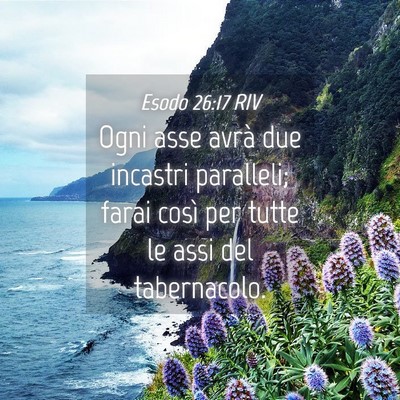 Picture 04 - Esodo 26:17 RIV - Ogni asse avrà due incastri paralleli; farai - Bible Verse Picture