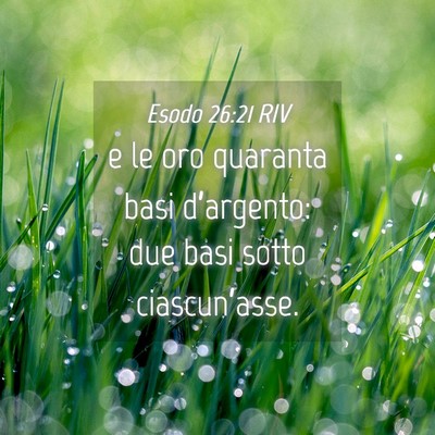 Picture 04 - Esodo 26:21 RIV - e le oro quaranta basi d’argento: due basi - Bible Verse Picture