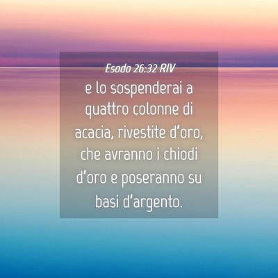 Picture 04 - Esodo 26:32 RIV - e lo sospenderai a quattro colonne di acacia, - Bible Verse Picture