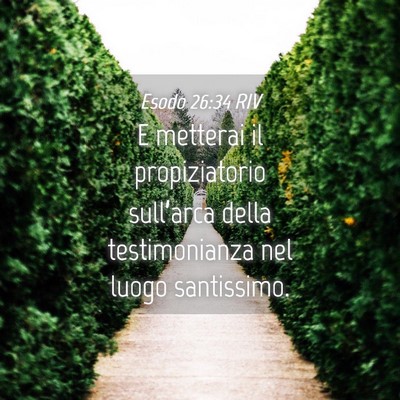 Picture 04 - Esodo 26:34 RIV - E metterai il propiziatorio sull’arca della - Bible Verse Picture