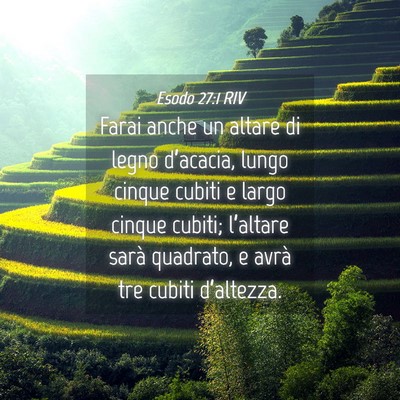 Picture 04 - Esodo 27:1 RIV - Farai anche un altare di legno d’acacia, lungo - Bible Verse Picture