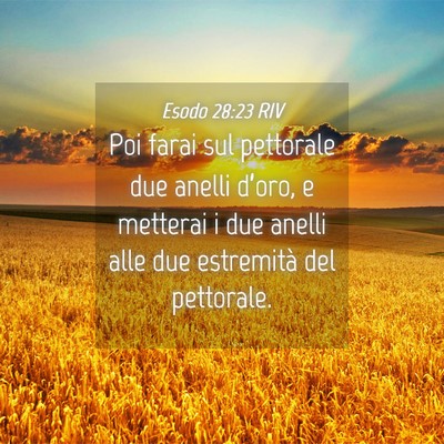 Picture 04 - Esodo 28:23 RIV - Poi farai sul pettorale due anelli d’oro, e - Bible Verse Picture