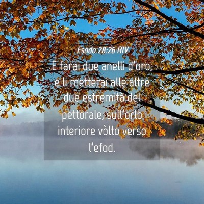 Picture 04 - Esodo 28:26 RIV - E farai due anelli d’oro, e li metterai alle - Bible Verse Picture
