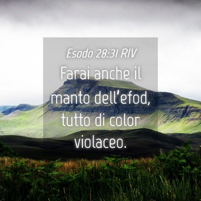 Picture 04 - Esodo 28:31 RIV - Farai anche il manto dell’efod, tutto di color - Bible Verse Picture