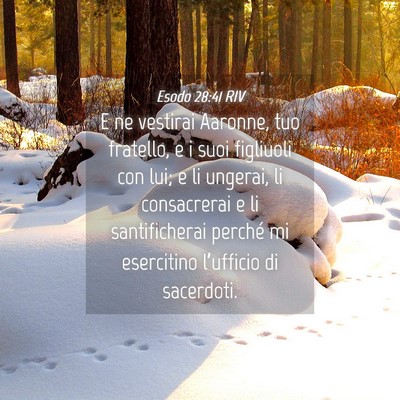 Picture 04 - Esodo 28:41 RIV - E ne vestirai Aaronne, tuo fratello, e i suoi - Bible Verse Picture