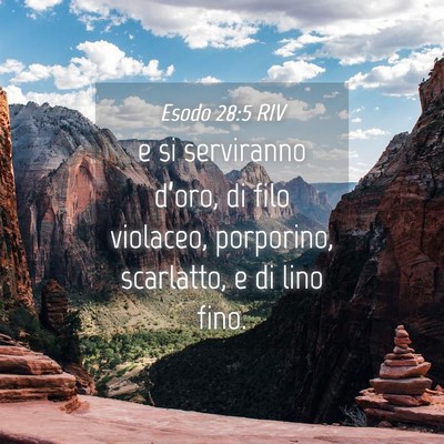 Picture 04 - Esodo 28:5 RIV - e si serviranno d’oro, di filo violaceo, - Bible Verse Picture