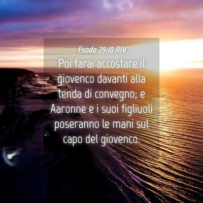 Picture 04 - Esodo 29:10 RIV - Poi farai accostare il giovenco davanti alla - Bible Verse Picture