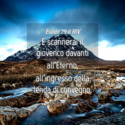 Picture 04 - Esodo 29:11 RIV - E scannerai il giovenco davanti all’Eterno, - Bible Verse Picture