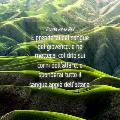 Picture 04 - Esodo 29:12 RIV - E prenderai del sangue del giovenco, e ne - Bible Verse Picture