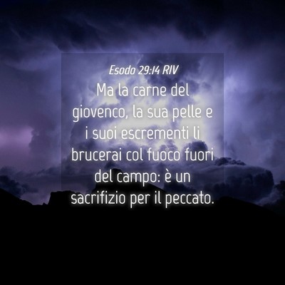 Picture 04 - Esodo 29:14 RIV - Ma la carne del giovenco, la sua pelle e i suoi - Bible Verse Picture