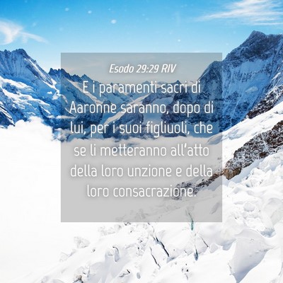 Picture 04 - Esodo 29:29 RIV - E i paramenti sacri di Aaronne saranno, dopo di - Bible Verse Picture