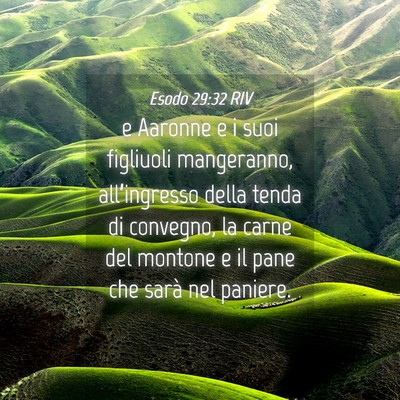 Picture 04 - Esodo 29:32 RIV - e Aaronne e i suoi figliuoli mangeranno, - Bible Verse Picture