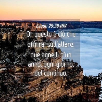 Picture 04 - Esodo 29:38 RIV - Or questo è ciò che offrirai sull’altare: due - Bible Verse Picture