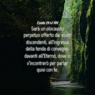 Picture 04 - Esodo 29:42 RIV - Sarà un olocausto perpetuo offerto dai vostri - Bible Verse Picture