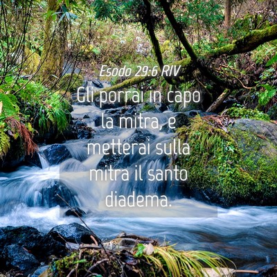 Picture 04 - Esodo 29:6 RIV - Gli porrai in capo la mitra, e metterai sulla - Bible Verse Picture