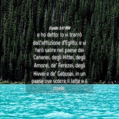 Picture 04 - Esodo 3:17 RIV - e ho detto: Io vi trarrò dall’afflizione - Bible Verse Picture