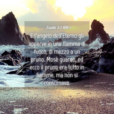 Picture 04 - Esodo 3:2 RIV - E l’angelo dell’Eterno gli apparve in una - Bible Verse Picture