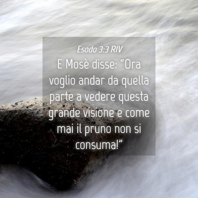 Picture 04 - Esodo 3:3 RIV - E Mosè disse: “Ora voglio andar da quella - Bible Verse Picture