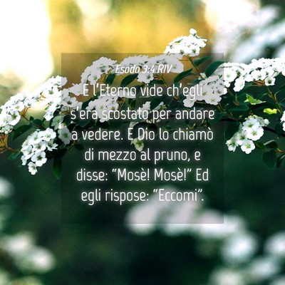 Picture 04 - Esodo 3:4 RIV - E l’Eterno vide ch’egli s’era scostato per - Bible Verse Picture