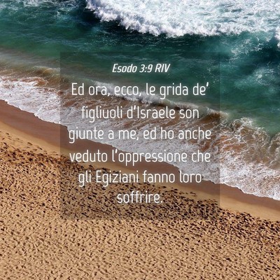 Picture 04 - Esodo 3:9 RIV - Ed ora, ecco, le grida de’ figliuoli - Bible Verse Picture