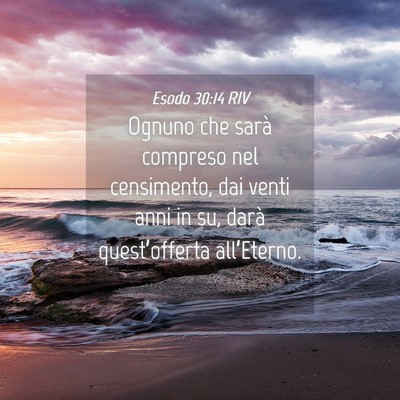 Picture 04 - Esodo 30:14 RIV - Ognuno che sarà compreso nel censimento, dai - Bible Verse Picture