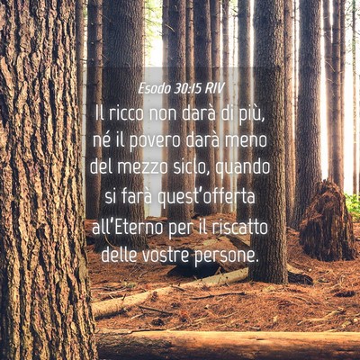 Picture 04 - Esodo 30:15 RIV - Il ricco non darà di più, né il povero darà - Bible Verse Picture